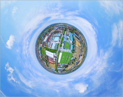 三叶人造草坪 VR全景